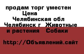 продам торг уместен › Цена ­ 15-25 - Челябинская обл., Челябинск г. Животные и растения » Собаки   